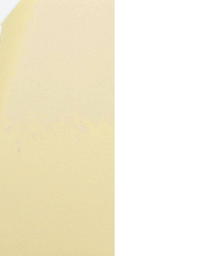 Mercedes SL R129 Front door speaker cover grill (large or small)